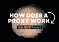 How does a proxy work